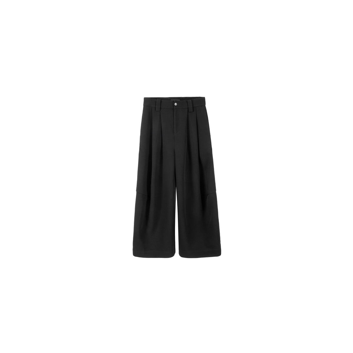 Structured Active Pleat Wide Pants  OR0582