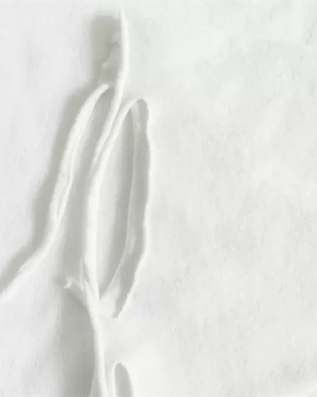 Hemless Damaged Simple T-Shirt  OR0937